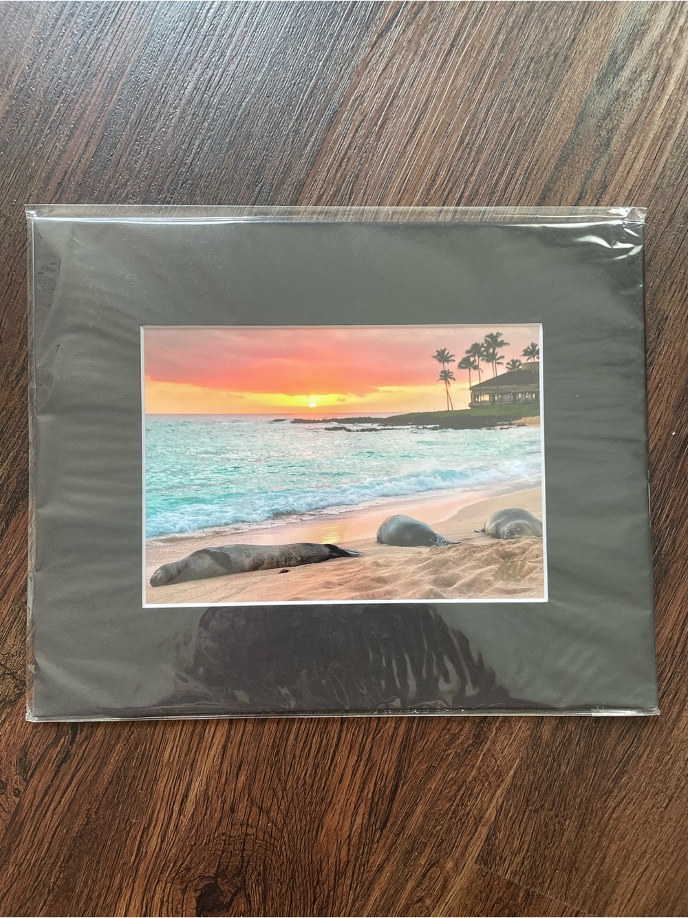 FINE ART PHOTOGRAPHY Kauai Hawaii KERRY ODA Signed NEW 10x8” Sunset Sunrise